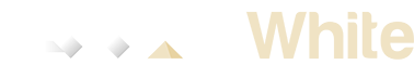 logo AXN White